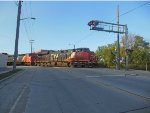 CN 2312 and CN 2441